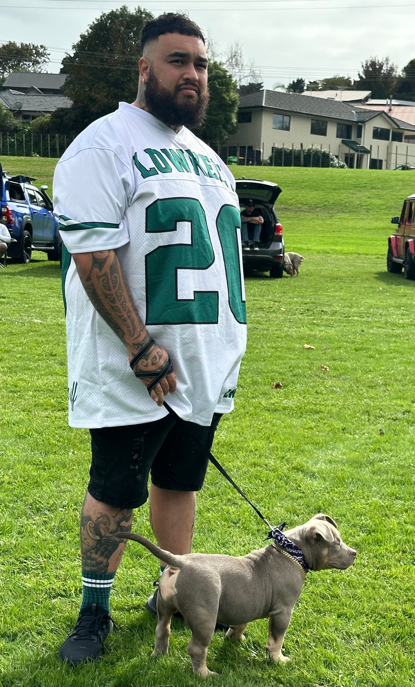 NFL Green & White